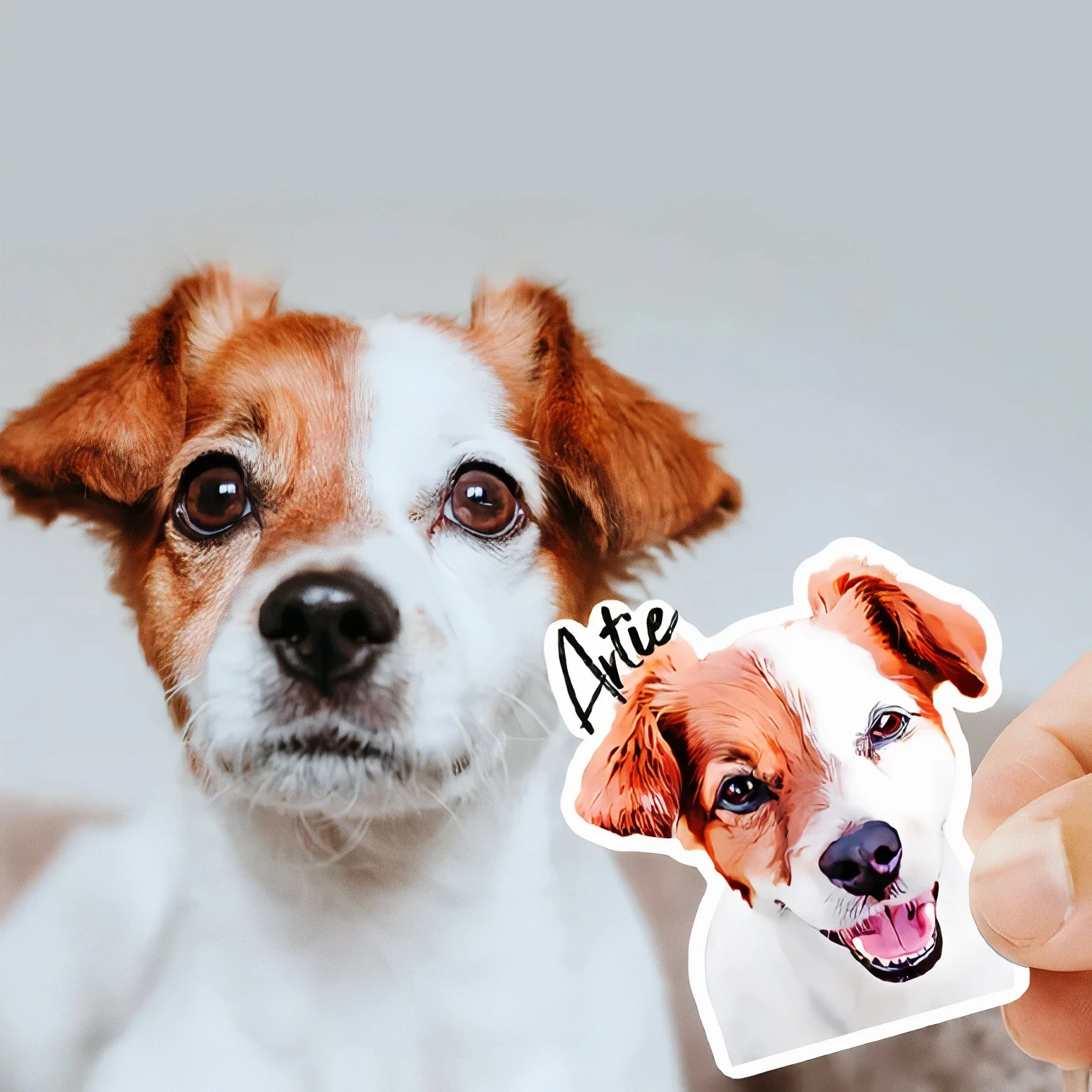 Custom Pet Stickers - Image 3